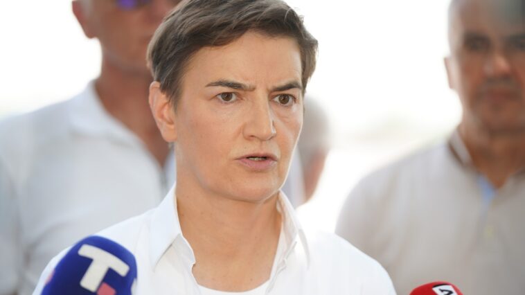 Brnabić: “Spajiću, nemate nijedan princip osim slepe poslušnosti”