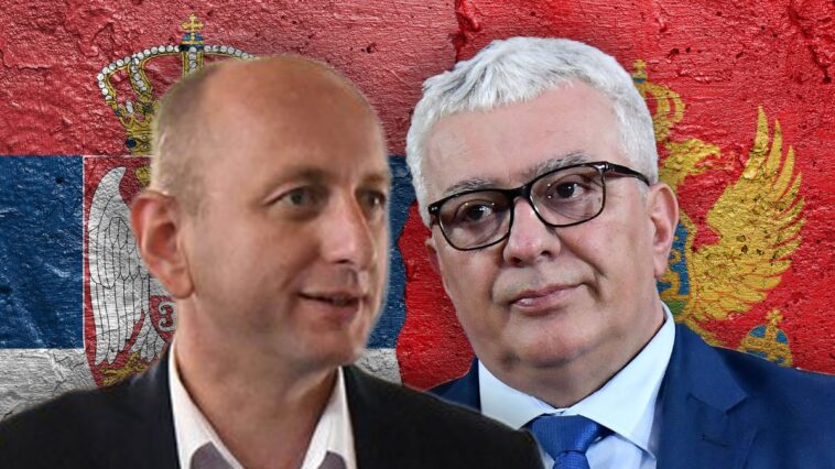 Knežević: Mandićeva NSD odbila da potpiše interpelaciju za smenu Ibrahimovića
