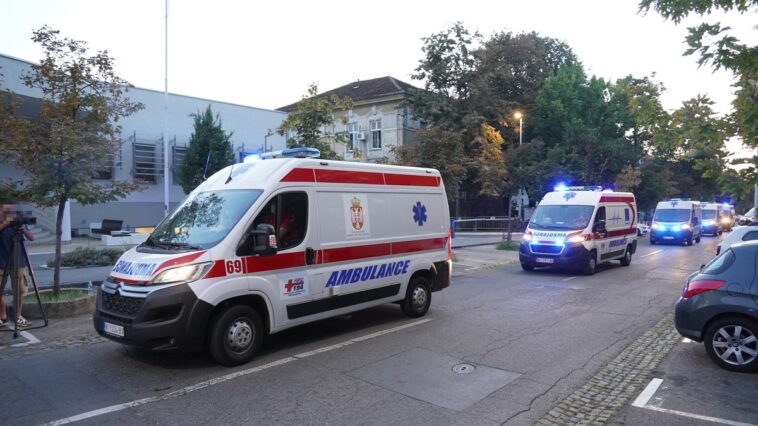 Devojčicu (8) izujedao pas u Mladenovcu, hitno prevezena u bolnicu Devojčicu (8) izujedao pas u Mladenovcu, hitno prevezena u bolnicu