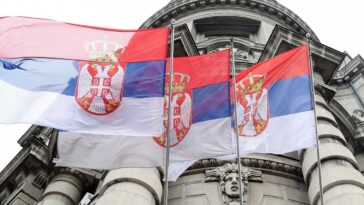 Šta bi Srbiji donela Vlada od 12 ministarstava