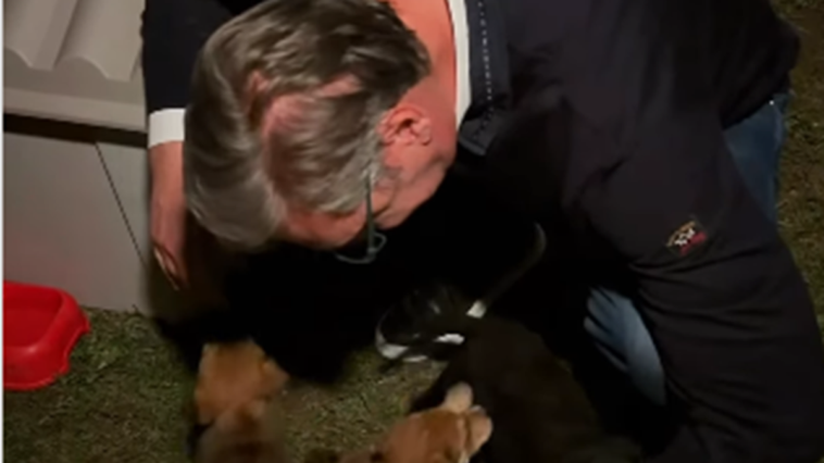 Maza, Lunja, Kika i Mićko osvojili Vučićevo srce: “Zalagaću se za bolju zaštitu životinja” Maza, Lunja, Kika i Mićko osvojili Vučićevo srce: “Zalagaću se za bolju zaštitu životinja”