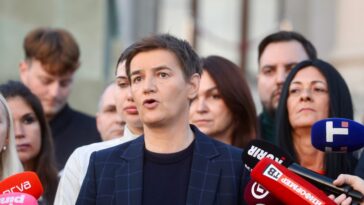 Pesma Ruzmarin Merime Njegomir u kampanji SNS, Brnabić objasnila zbog čega