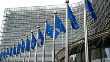 Oglasila se delegacija EU u Srbiji o izborima