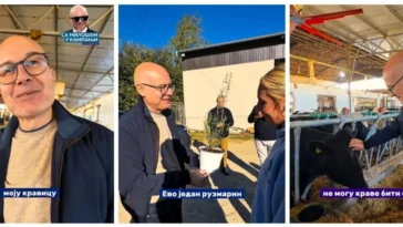 Vučević obišao farmu krava u Bačkoj Palanci pa doneo poklon Sofiji: Evo jedan ruzmarin