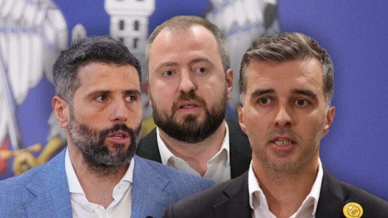 Šta je sledeće, da ju je pregazio tenkom: Obraćanje šefa odborničke grupe SNS o Šapiću Šta je sledeće, da ju je pregazio tenkom: Obraćanje šefa odborničke grupe SNS o Šapiću