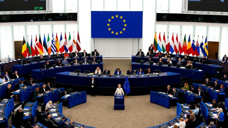 Evropski parlament primio poziv iz Srbije da pošalje posmatračku misiju na izbore Evropski parlament primio poziv iz Srbije da pošalje posmatračku misiju na izbore